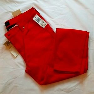 CELEBRITY  PINK JADEN SKINNY JEANS